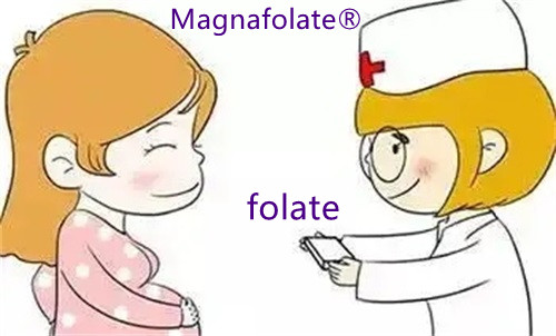 Hogyan szerezzük be a megfelelő folátot?