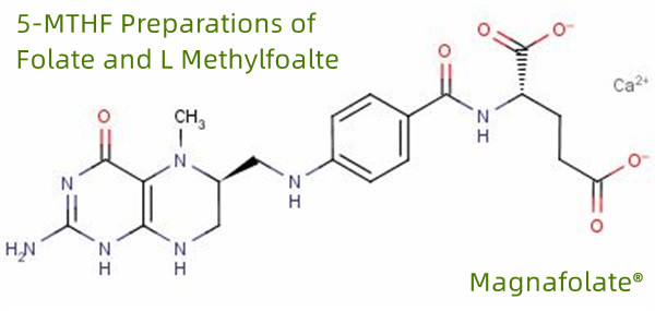 5-MTHF Folát és L-metilfoalte készítményei