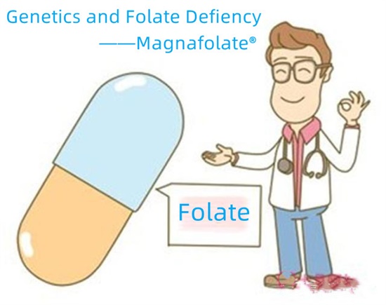 Genetika és folsavhiány - Magnafolát