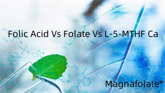 Folsav vs folát vs L-5-MTHF Ca