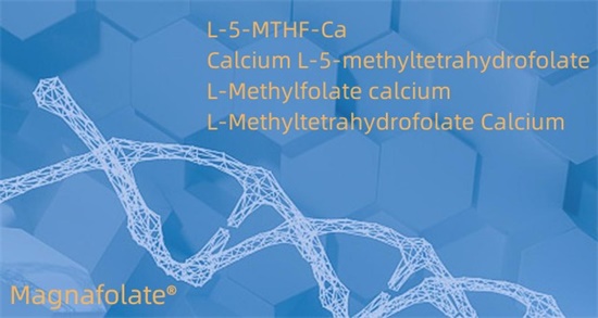 Kalcium-L-5-metil-tetrahidrofolát Cas151533-22-1