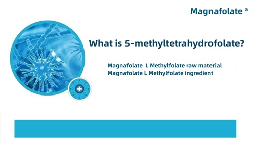 Mi az 5-metil-tetrahidrofolát?