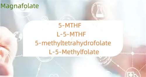 Mi a különbség az 5-metil-tetrahidrofolát és a folát között?