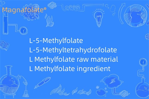 Mit csinál az L-metilfolát?