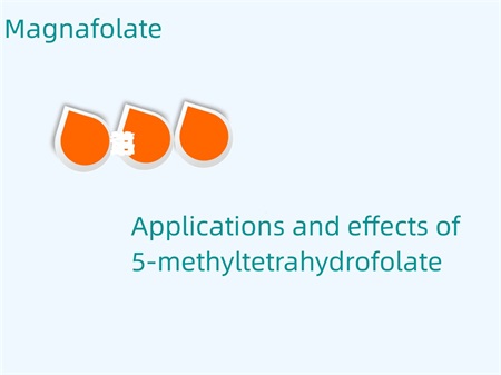 Az 5-metil-tetrahidrofolát alkalmazásai és hatásai