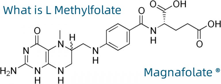 L-5-Metil-tetrahidrofolát-kalcium CAS-szám:151533-22-1