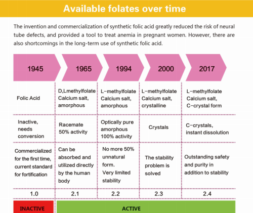 A folsav evolúciós története