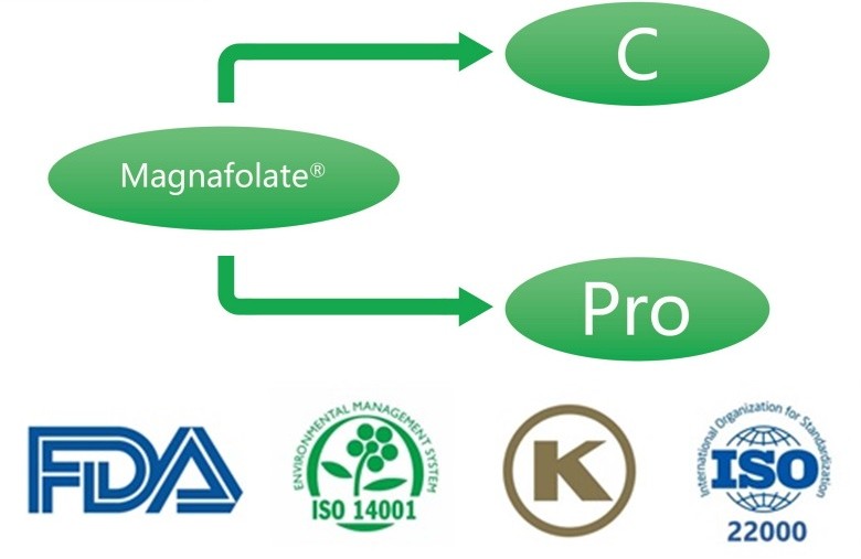 Mi az a kalcium-L-5-metil-tetrahidrofolát? Mik a beszállítók?