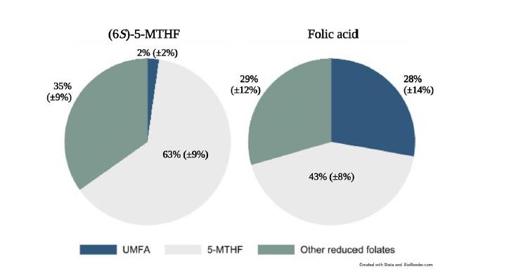 Óvakodik! A Scientific Reports egyik tanulmánya megerősíti, hogy amikor szoptató nők folsavat adnak, a tejben lévő folsav 28%-a használhatatlan, metabolizálatlan folsav (UMFA) – ez 14-szer magasabb, mint a bioaktív formát szedő anyáknál.